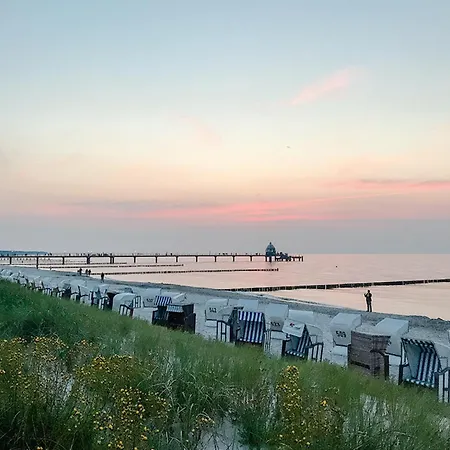 Haus Kormoran, Nr 3 * Zingst